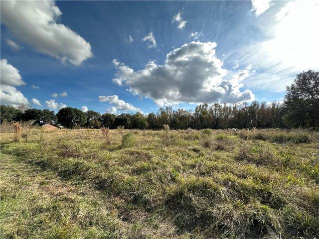 Land for sale in Evangeline, Louisiana