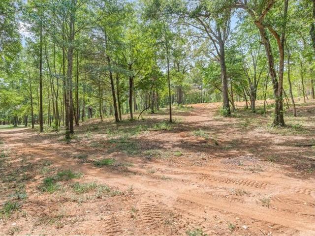 Land for sale in Whitehouse, Smith County