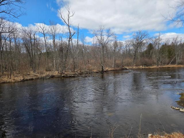 Land for sale in Isabella, Michigan