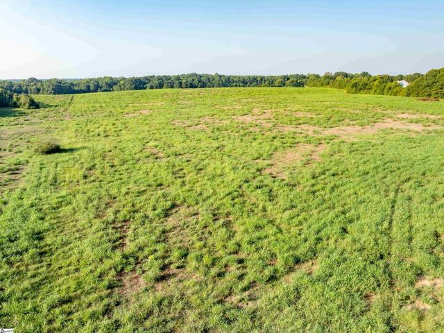 Land for sale in Laurens, South Carolina