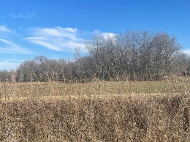 Land for sale in Batesville, Mississippi