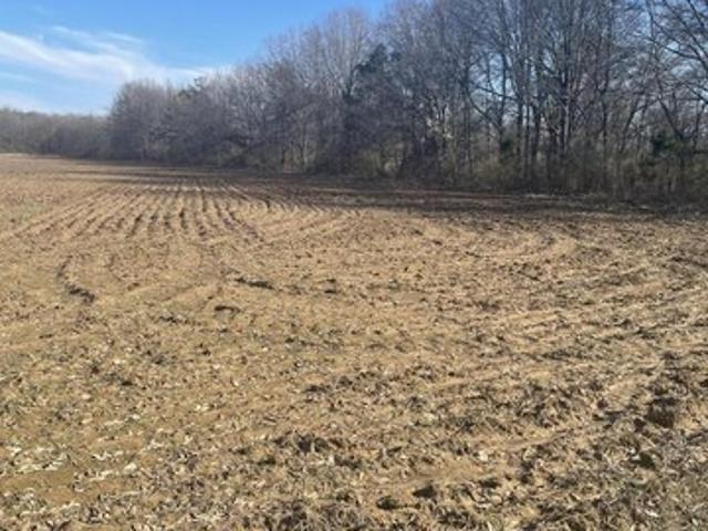 Land for sale in Batesville, Mississippi