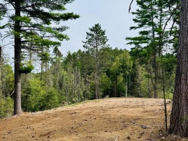 Land for sale in Vilas, Wisconsin
