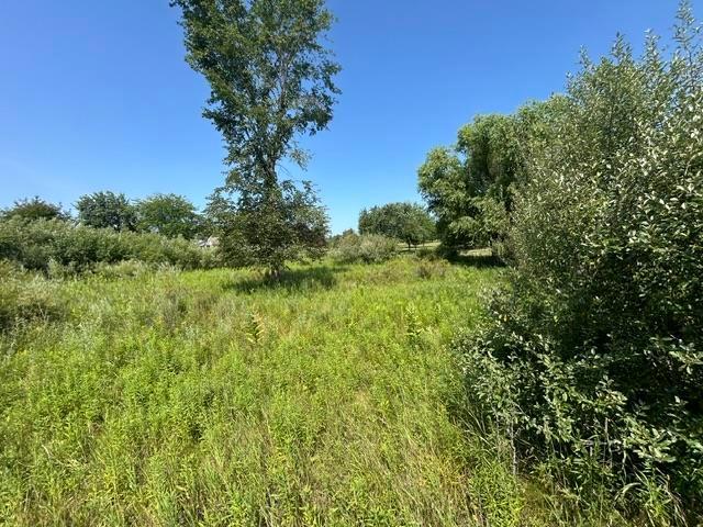 Land for sale in Wagarville, Michigan