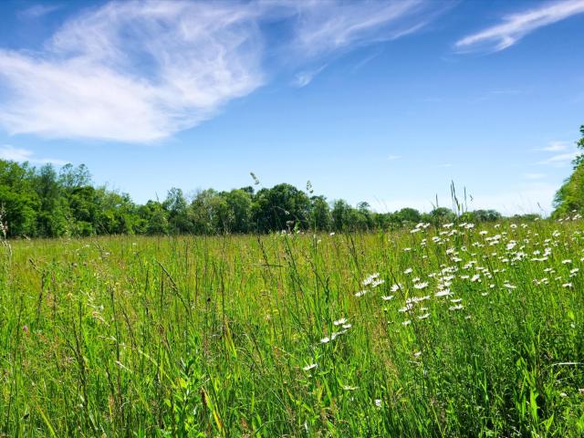Farm for sale in Shelbyville, Kentucky