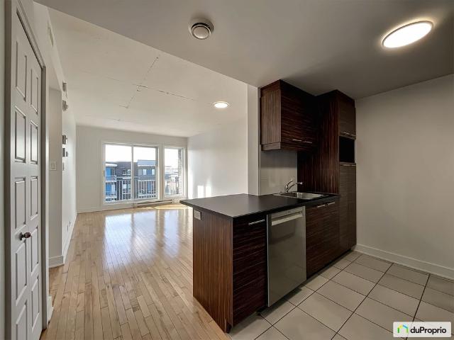 Apartment for rent in Le Sud-Ouest, Montréal