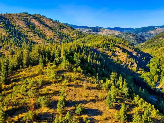 Land for sale in Shoshone, Idaho