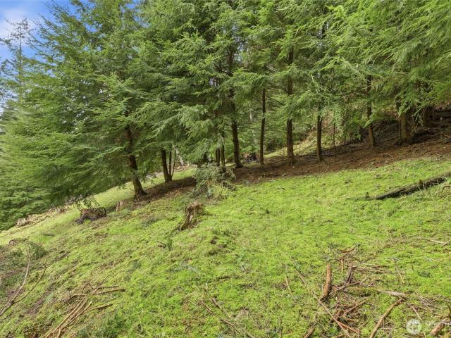 Land for sale in Oak Harbor, Washington