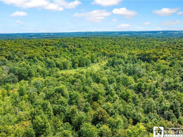 House for sale in Ripley, New York
