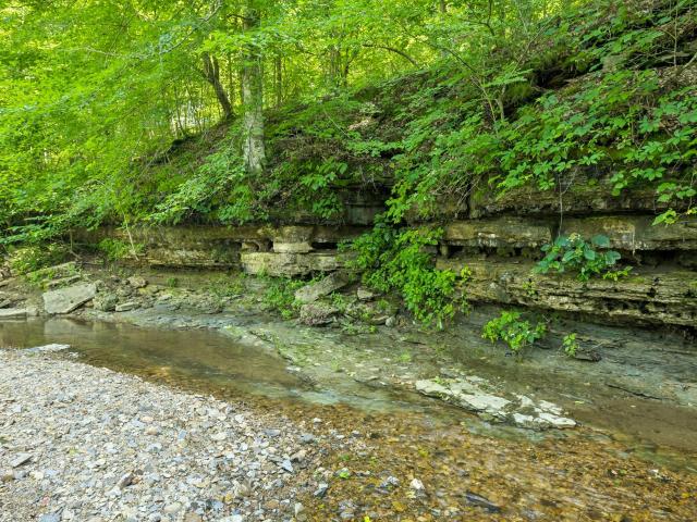 Farm for sale in Tennessee