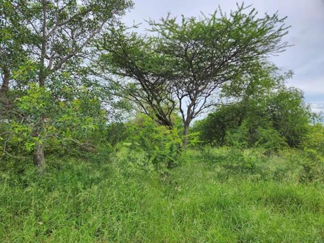 Land for sale in Mopani, Limpopo