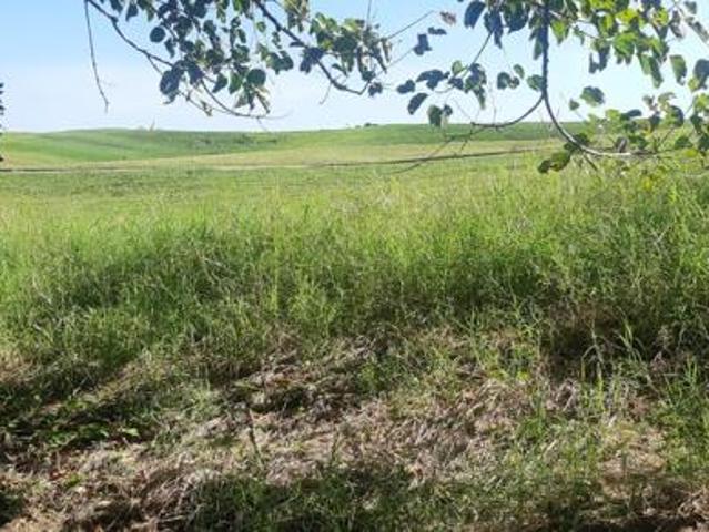 Land for sale
