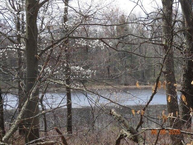 Land for sale in White Cloud, Michigan