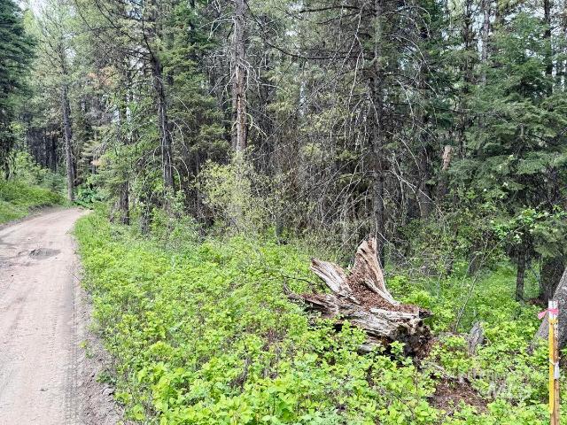 Land for sale in Cascade, Idaho