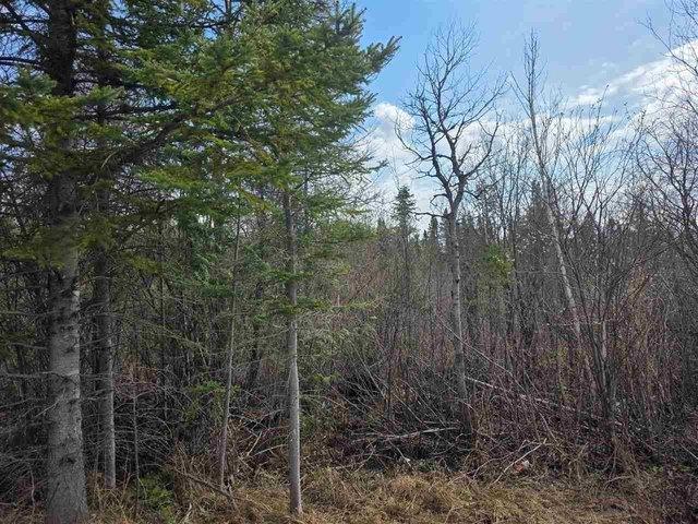 Land for sale in Indian River, Michigan