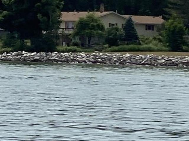 House for sale in Sault Sainte Marie, Michigan