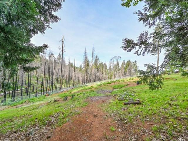 Land for sale in Grizzly Flats, California
