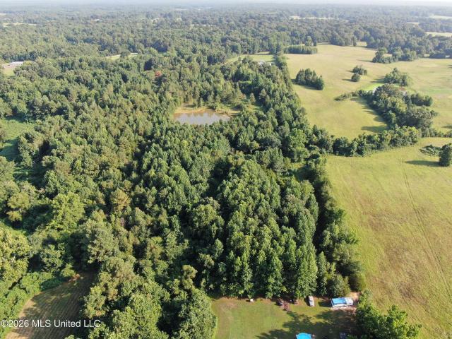 Land for sale in Tate, Mississippi