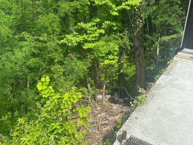 Land for sale in Tennessee