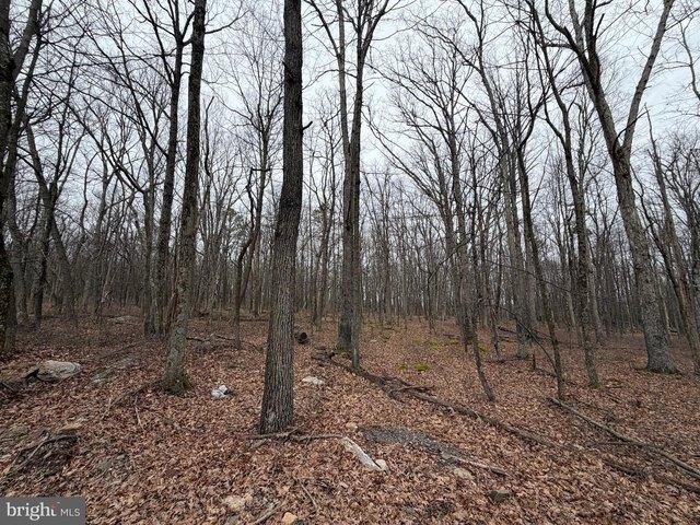 Land for sale in Zion Grove, Pennsylvania