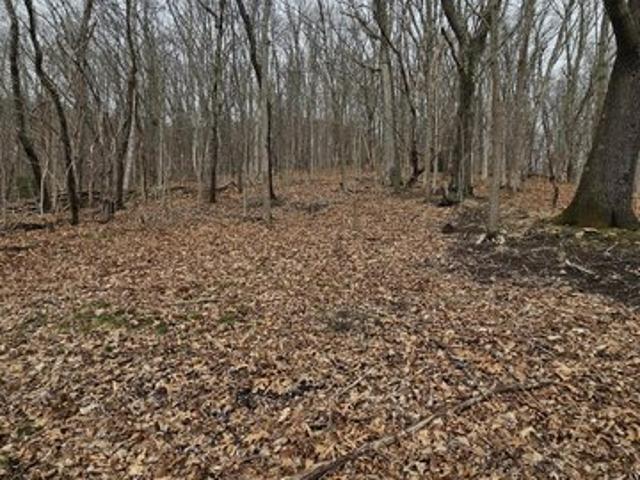 Land for sale in Bluefield, West Virginia