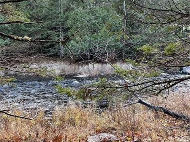 Land for sale in Charlotte, New Brunswick