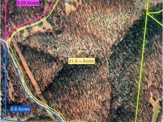 Land for sale in Washburn, Barry County