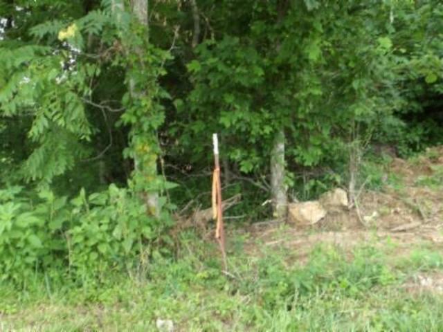 Land for sale in Tennessee