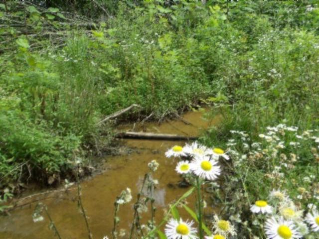 Land for sale in Tennessee