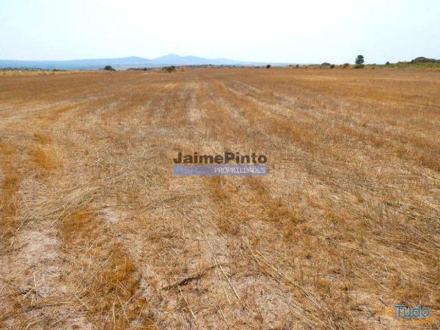 Terreno venda em Guarda, Figueira De Castelo Rodrigo
