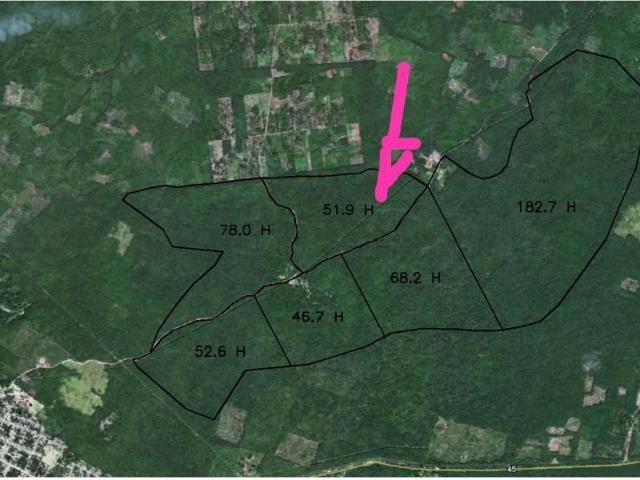 Terreno en venta en Tekax de Álvaro Obregón, Tekax