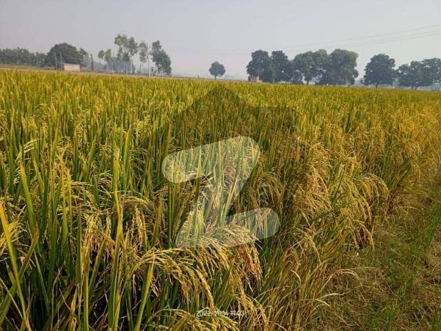 Land for sale in Hafizabad, Islamabad Capital Territory