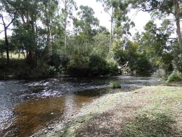 Cottage for sale in Camerons Creek, Victoria