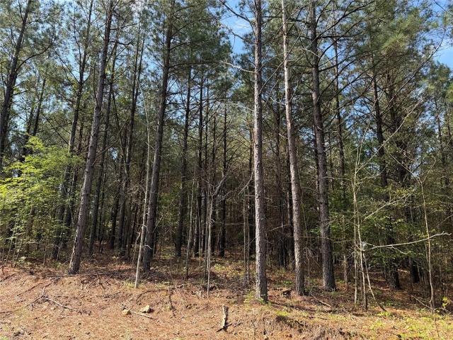 Land for sale in Broken Bow, Oklahoma