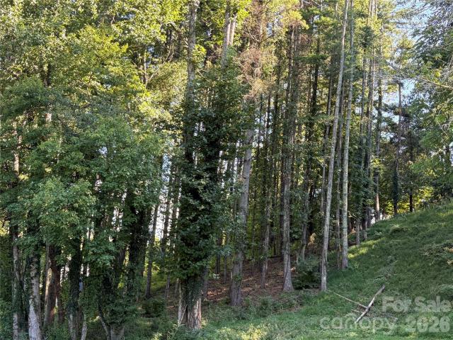 Land for sale in Yancey, North Carolina