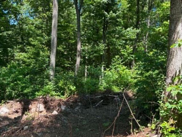 Land for sale in West Virginia