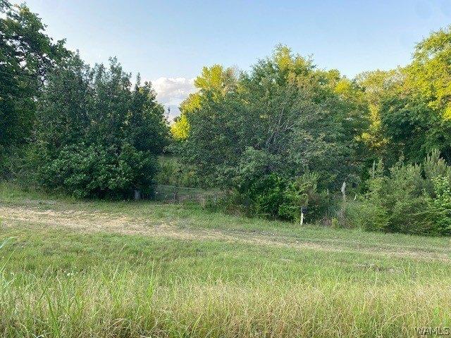 Land for sale in Fayette, Alabama