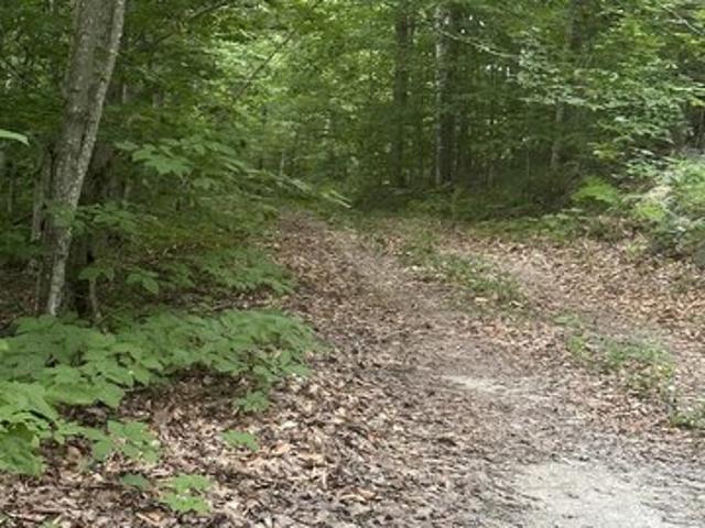 Land for sale in Salisbury, Vermont
