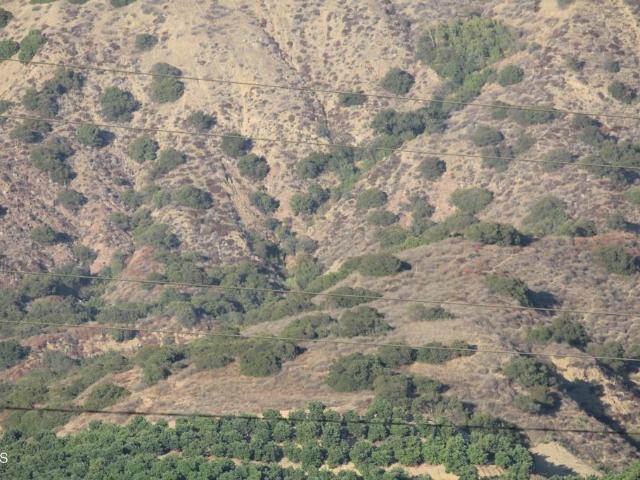 Land for sale in North Fillmore, Fillmore