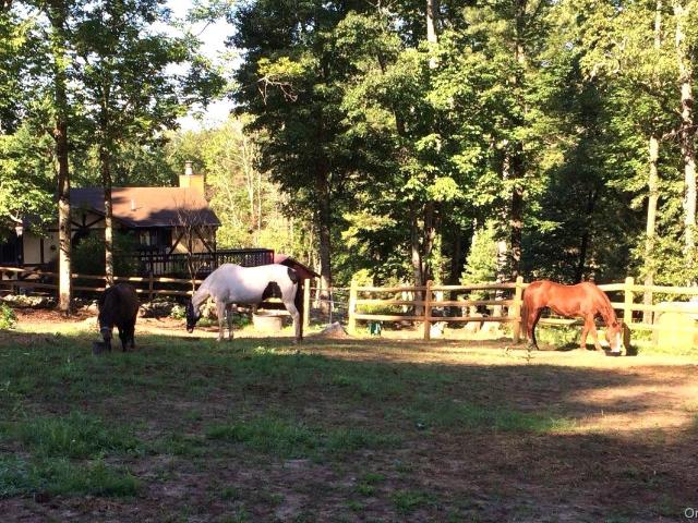 House for sale in Forestburgh, New York