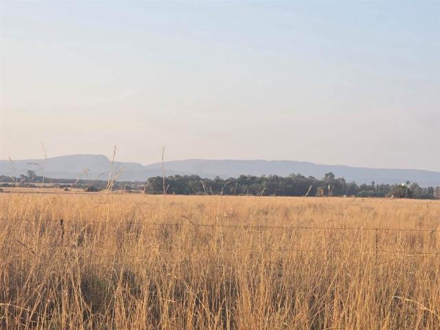 Farm for sale in Limpopo