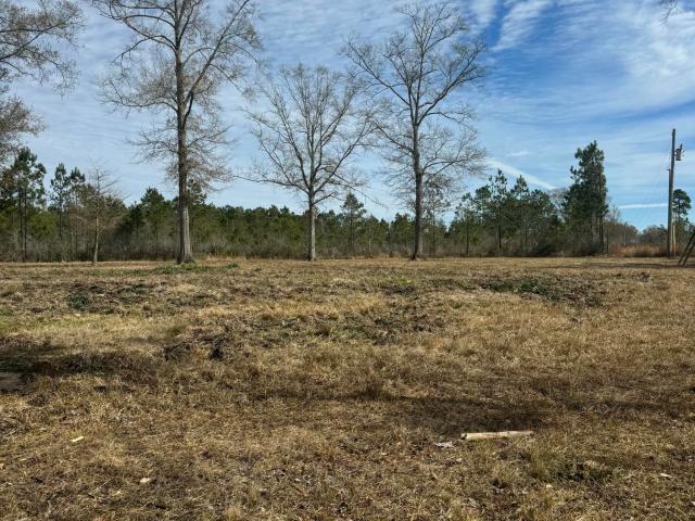 Land for sale in Poplarville, Mississippi