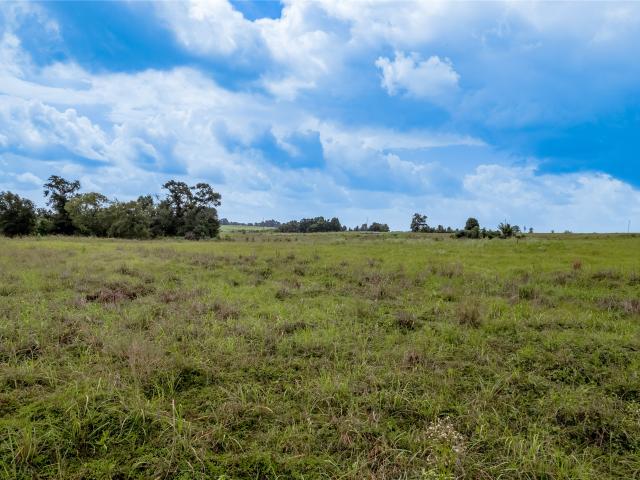 Land for sale in Crockett, Texas
