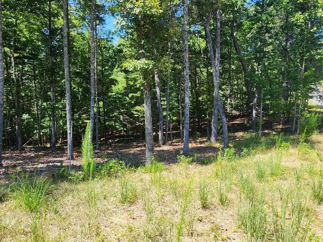 Land for sale in Morganton, Georgia