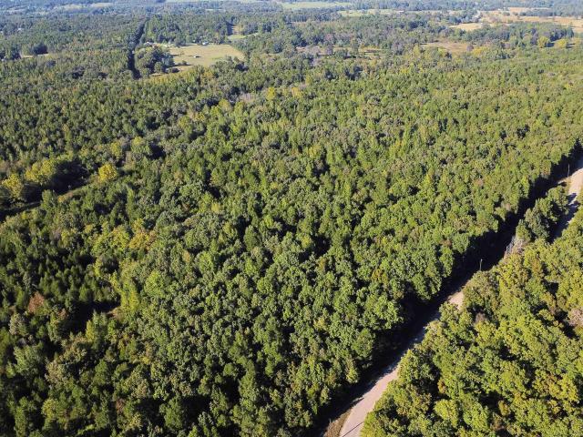 Land for sale in Ark
