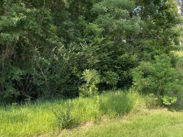 Land for sale in Loxley, Alabama