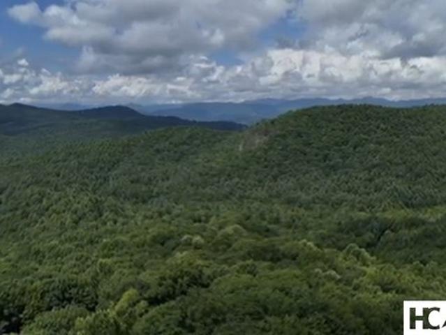 Land for sale in North Carolina
