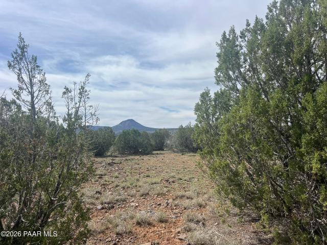 Land for sale in Ash Fork, Arizona
