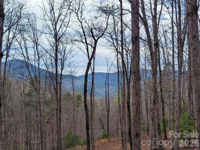 Land for sale in Marshall, North Carolina