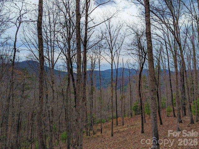 Land for sale in Marshall, North Carolina